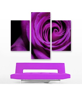 Multi-canvas 3x Rose violet